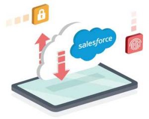 Avepoint Salesforce Cloud Backup Scheme1