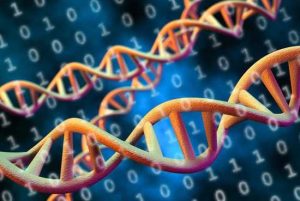 Los Alamos Labs Translation Software Enables Efficient Dna Data Storage