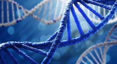 Pfu America Joins Dna Storage Alliance