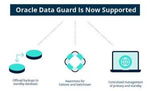 Rubrik Oracle Data Guard Scheme