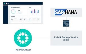 Rubrik Sap Hana Scheme