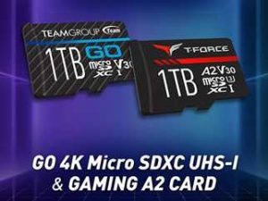 Teamgroup Microsd