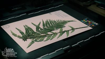Hpe To Power Poland's First Digital Collection Of Preserved Plants(2) Hpe To Power Poland's First Digital Collection Of Preserved Plants(2)