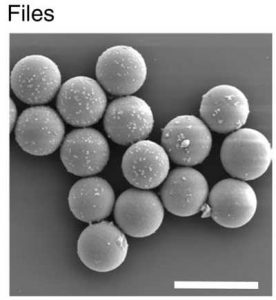 Mit Dna Storage F2