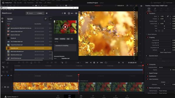 Sns Unveils Sharebrowser Workflow Integration Plug In For Davinci Resolve