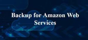 Colbat Iron Compass Aws Snapshots 1 Scheme Colbat Iron Compass Aws Snapshots 1 Scheme