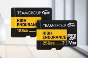 Team Group High Endurance Card 2cards