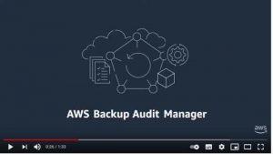 Aws Backup Audit Magner Screen