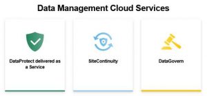 Cohesity Data Management Services Scheme