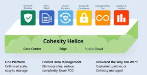 Cohesity Dmaas Diagram 2