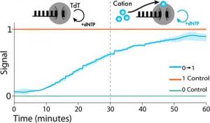 From Northwestern University Dna Storage Article Scheme From Northwestern University Dna Storage Article Scheme