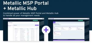 Metallic Msp Portal And Hub Scheme