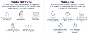 Metallic Msp Portal And Hub Scheme