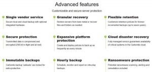 Opentext Carbonite Server Scheme