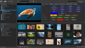 Quantum Catdv Asset Management Platform