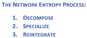 Dcig Network Entropy F1
