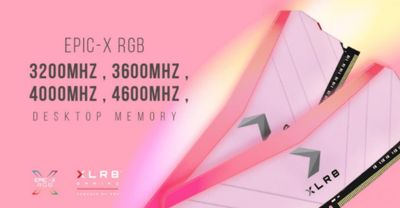 Xlr8 Rgb Ddr4 Desktop Memory Pink Limited Edition