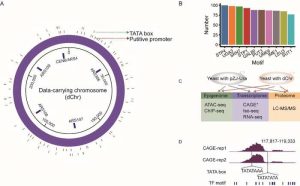 2022 01 China Dna Storage Scheme