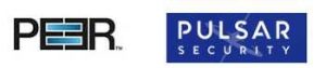 Peer Software And Pulsar Security Logos 2206
