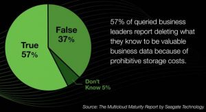 Seagate The Multicloud Maturity Report Pr Figure 3(1)