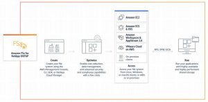 Aws Amazon Fsx For Netapp Ontap 2207