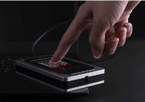 Datalocker Dl4 Fe