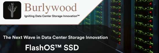 Burlywood Flahos Ssd Intro 2302 Burlywood Flahos Ssd Intro 2302