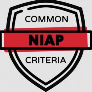 Digistor Secure Data Storage Receives Common Criteria Certification, Niap Listing