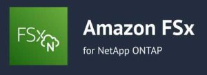 Amazon Fsx Netapp Ontap