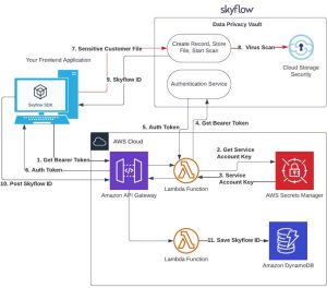 Aws Skyflow F3