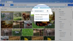 Qsirch 5.4.1 Semantic Search
