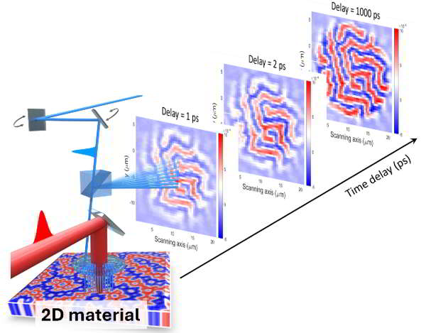 University Of Exeter Heat To Control Magnetism In 2d Materials University Of Exeter Heat To Control Magnetism In 2d Materials