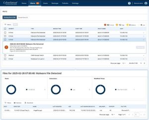 Cybersense Malware File Detected