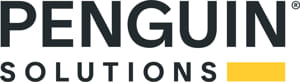 Penguin Solutions Fiscal 2q25 Financial Results