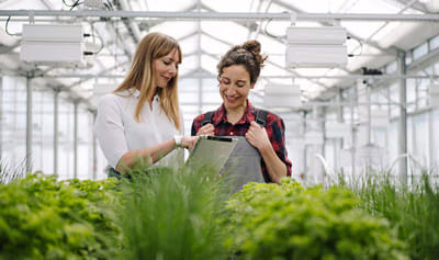 Us Department Of Agriculture Selects Oracle Cloud