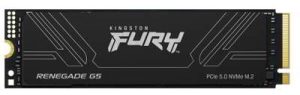 Kingston Fury Renegade G5 Ssd