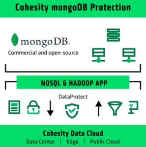 Cohesity Mongodb Scheme