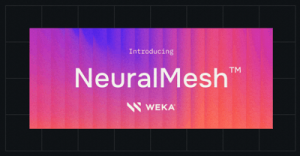 Weka Neuralmesh Intro