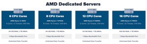 Hostcolor Amd Servers 2507