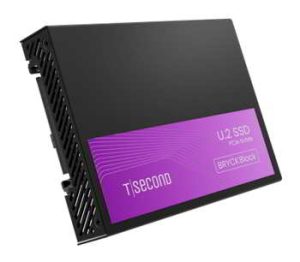Tsecond’s Bryck Block Ssd