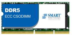 Penguin Smart Solutions Ddr5 Ecc Csodimm Wlabel Penguin Smart Solutions Ddr5 Ecc Csodimm Wlabel