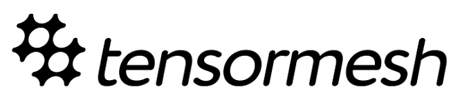 Tensormesh Logo