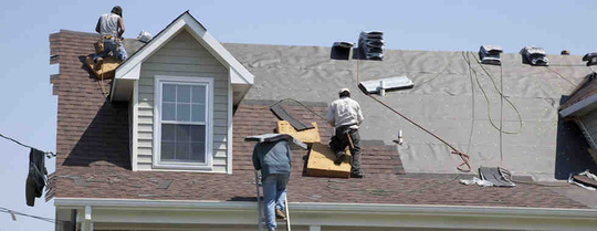 alacrity_services_llc_540