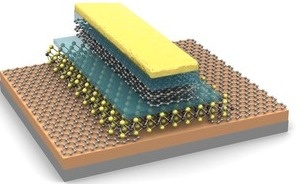 epfl_graphene_molybdenite