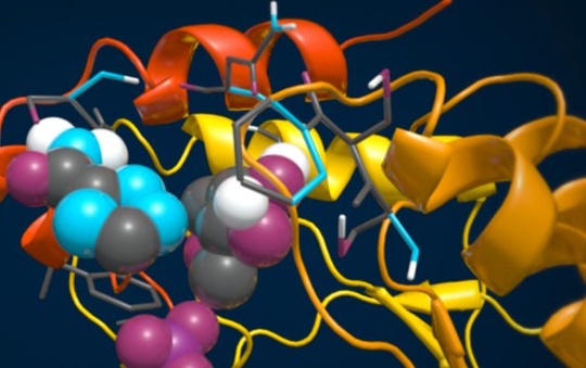 schrodinger_life_sciences_filetek_storhouse_540