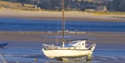 riverbed_conseil_general_manche