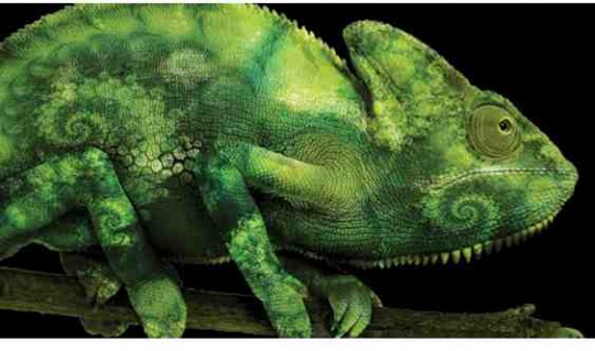 zmanda_data_protection_for_suse_novell_linux_540