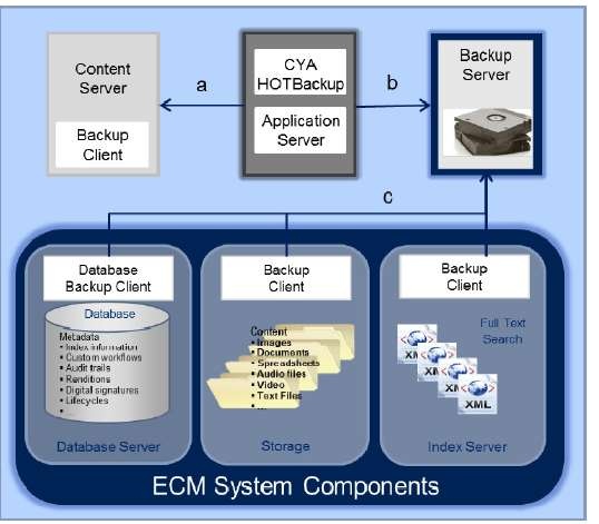 cya_hotbackup_emc_documentum