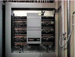 eds_buffalo_robell