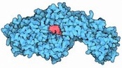 fusionio_bioinformatics